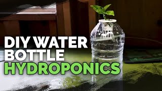 DIY Water Bottle Hydroponic System for Propagating and Herbs [upl. by Bresee872]