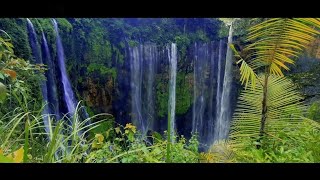 Tumpak Sewu Waterfall  Cinematic Video [upl. by Nylireg]