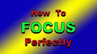 Macro Photography Tips  How To Focus PerfectlyMacroWorld [upl. by Anawal]