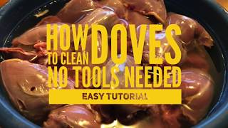 How to Clean Doves Quick Easy Tutorial [upl. by Emanuele]