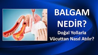 BALGAM NEDİR DOĞAL YOLLARLA VÜCUTTAN NASIL ATILIR [upl. by Ikcir]