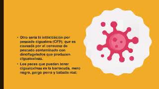 Toxinas naturales en los alimentos [upl. by Okwu]