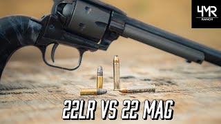 22 Showdown  22lr vs 22 Mag [upl. by Ecurb159]