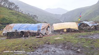 Himalayan Village Life  Nepal  Rainy Day in Dolpa  Real Nepali Life [upl. by Kushner]