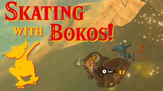 Skateboarding With Bokoblins  The Legend of Zelda Breath of the Wild [upl. by Kinnon]