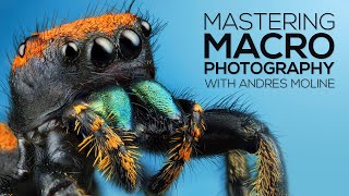 Mastering Macro Photography The Complete Shooting and Editing Tutorial [upl. by Harshman]