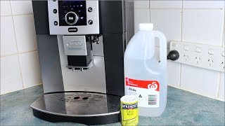 Homemade Coffee Descaler  How to video [upl. by Albertine174]