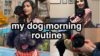 🇰🇷MONGMONG’S MORNING ROUTINE vlog 🐶 🐩 [upl. by Turrell]