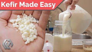 Homemade Kefir  Rebuild Your Gut Microbiome [upl. by Yellhsa]