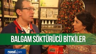 Balgam Söktürücü Bitkiler  Sağlık  Nasilcom [upl. by Idelia]