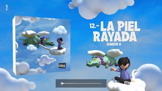 Junior H  La Piel Rayada Audio Oficial [upl. by Lustig953]