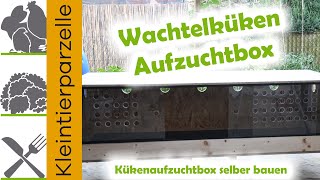 Wachtelküken Aufzuchtbox  Kükenaufzuchtbox selber bauen  Wachtel Kükenheim einrichten [upl. by Serilda]