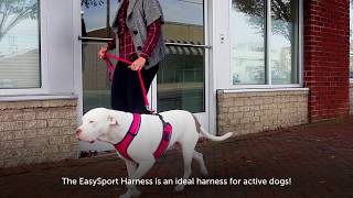 Easy On And Off Harness with Quick Control Handle [upl. by Cathryn]