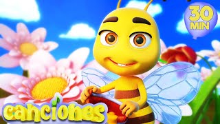 Rimas y Las Mejores Canciones Infantiles  Mi Pequeńa Abeja  LooLoo [upl. by Ihel]