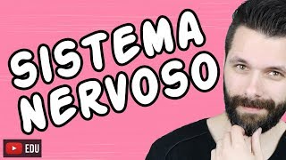 SISTEMA NERVOSO  FISIOLOGIA  Aula  Biologia com Samuel Cunha [upl. by Asilahs]