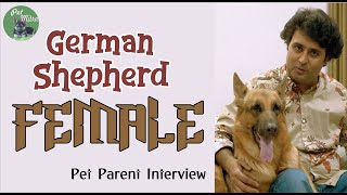 Alsatian  German shepherd dog breed Female  Pet Parent Interview [upl. by Moria]