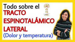 Tracto espinotalámico lateral ¡FÁCIL EXPLICACIÓN  Dolor y temperatura  Sistema de analgesia [upl. by Ardnasil]