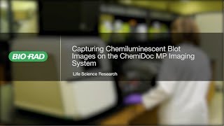 How to Use the New ChemiDoc MP for Chemiluminescent Western Blot Imaging [upl. by Ramirol]