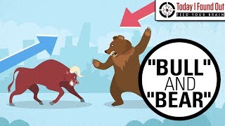 Why are Bull and Bear Markets Called That [upl. by Kciremed]