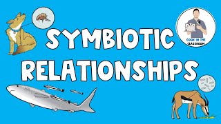 Symbiotic Relationships [upl. by Aeresed687]