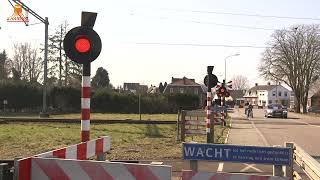 DUTCH RAILROAD CROSSING  Maarheeze – Stationslaan [upl. by Eed542]