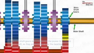 How Car Transmission System Works [upl. by Anthiathia]