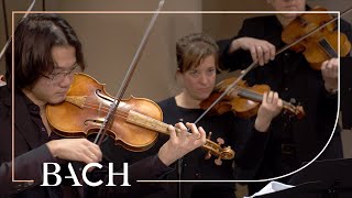 Bach  Cantata Erfreute Zeit im neuen Bunde BWV 83  Sato  Netherlands Bach Society [upl. by Annayram]