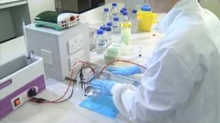 Running an Agarose Gel  University of Leicester [upl. by Halpern]