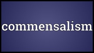 Commensalism Meaning [upl. by Ivah836]