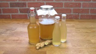 Water Kefir Ginger Tonic [upl. by Octavie]