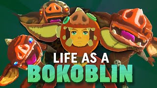 Life as a Bokoblin  A Zelda Nature Documentary [upl. by Eihtak]