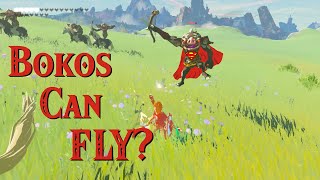 Bokoblins Can Fly  The Legend of Zelda Breath of the Wild [upl. by Eilra]