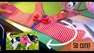 How to Put On a Dog Harness StepbyStep Instructions [upl. by Hy]