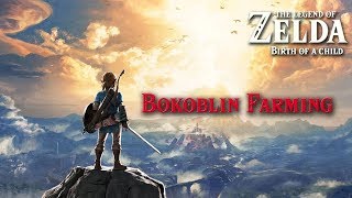 Legend of Zelda Breath of the Wild Bokoblin Farming [upl. by Eislek]