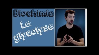 Cours de biochimie Glycolyse [upl. by Schuh]