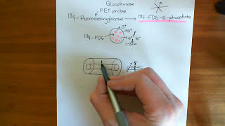 Positron Emission Tomography PET Part 3 [upl. by Atteyram]