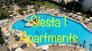 Siesta apartments  Alcudia  Majorca [upl. by Lilahk]