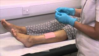 ALLEVYN Non Adhesive application to the leg [upl. by Otanutrof]