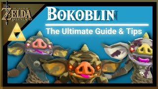 Bokoblin MidHigh Level Farming LocationsZelda Breath of The Wild [upl. by Niryt715]