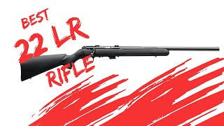 Savage Mark II 22 LR Review  Incredible Accuracy [upl. by Karlens]