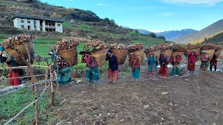 The Determined Lifestyle of Hardworking Nepali Mountain Villagers  IamSuman [upl. by Analat]