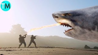 LOS 10 TIBURONES MÁS GRANDES Del Mundo y De La Historia [upl. by Ysnap]