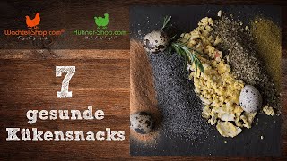 7 WachtelKükenSnacks die alle Herzen höher schlagen lassen  Tipps zur WachtelkükenFütterung [upl. by Arias]