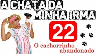 A CHATA DA MINHA IRMÃ 22 O CACHORRINHO ABANDONADO [upl. by Winola937]