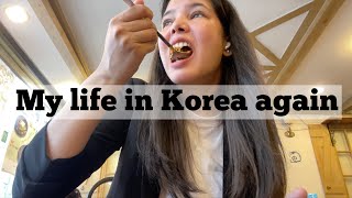 Life in Korea  Sonal Yadav🇰🇷 [upl. by Horbal]