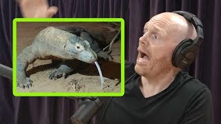 Komodo Dragons Freak Bill Burr Out [upl. by Ongineb803]