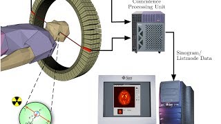 how does PET Scan Works [upl. by Llemert]