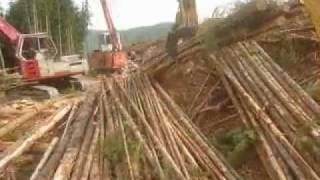 Salvage logging a hemlock tree with the Anderson forestry trailer and Log Loader [upl. by Aihsile477]