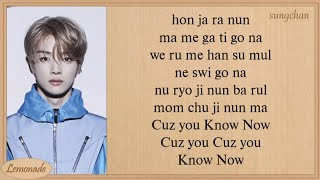 NCT U  Know Now Easy Lyrics [upl. by Mihe]