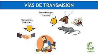 Microbiología de los Alimentos Parte 1 [upl. by Biddie]